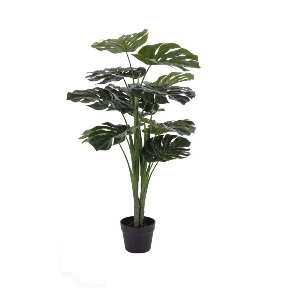 Monstera - 90cm